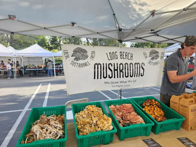 Saturday Farmers Market — customer photo 3