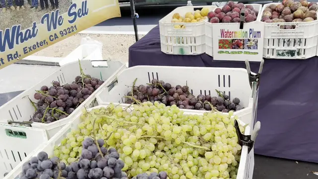 Customer photo of work by Saturday Farmers Market, from kebiraj S's review