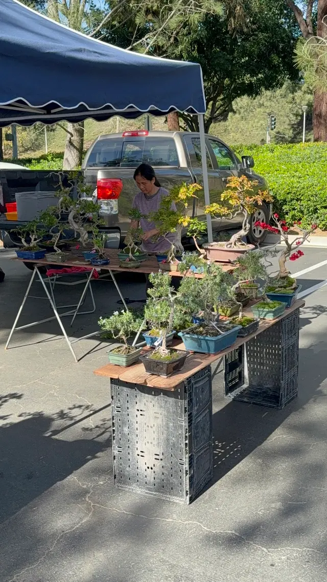 Saturday Farmers Market — customer photo 11