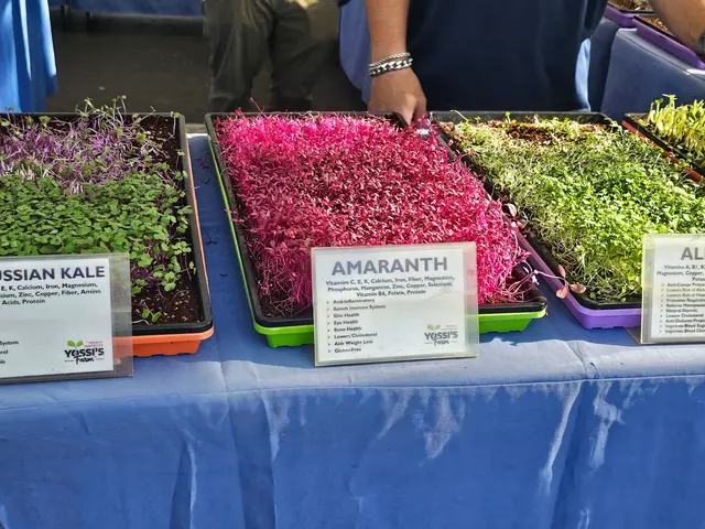 Saturday Farmers Market — customer photo 7