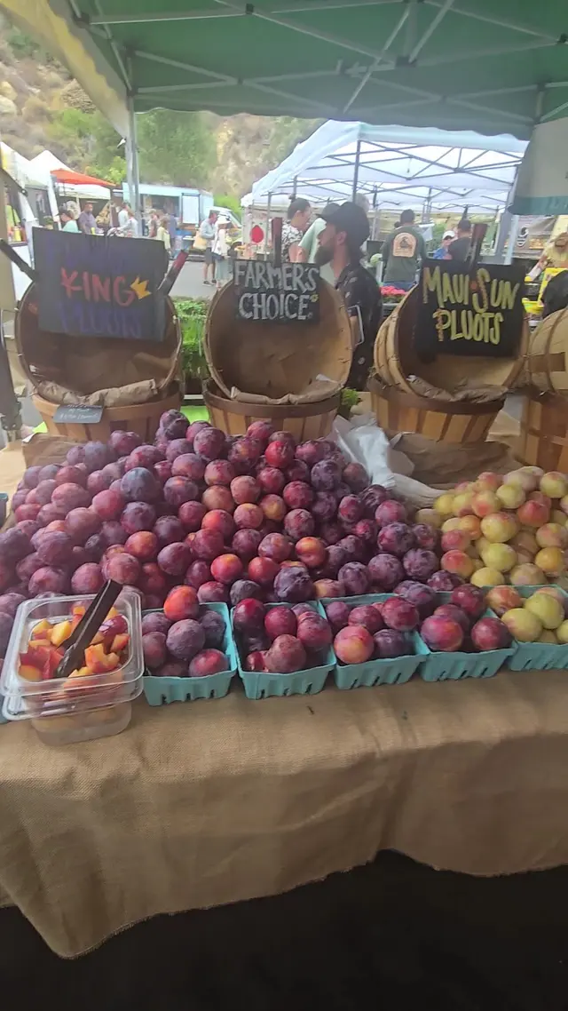 Laguna Beach Saturday Farmers Market — customer photo 8