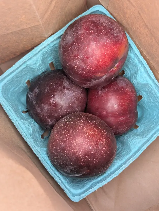 Laguna Beach Saturday Farmers Market — customer photo 6