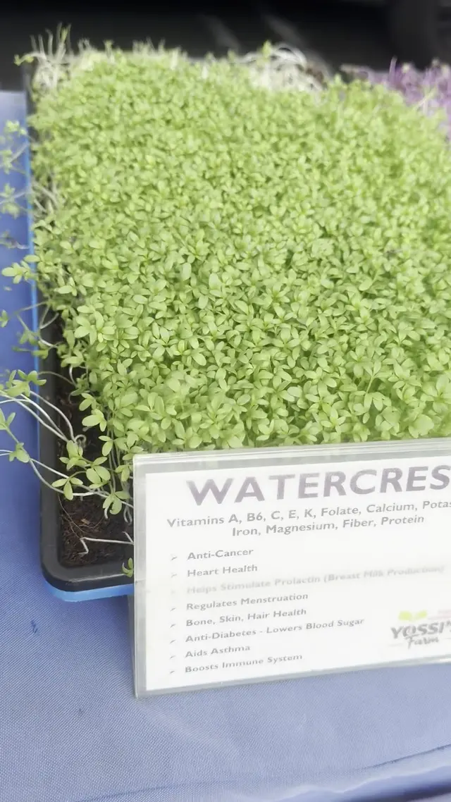Irvine Farmers Market — customer photo 8