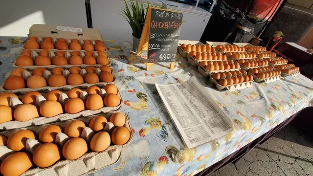 Laguna Niguel Farmers' Market — customer photo 6