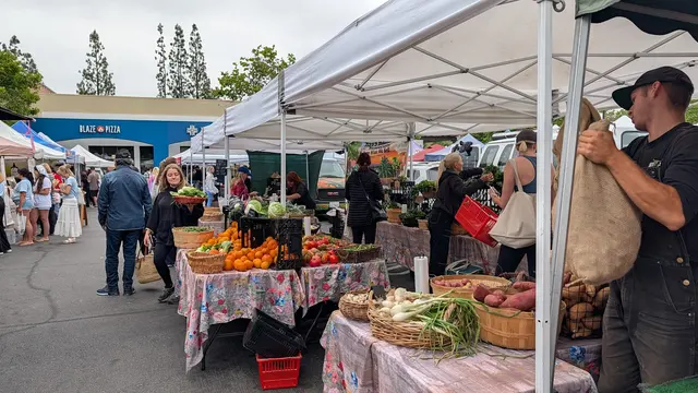 Laguna Niguel Farmers' Market — customer photo 3