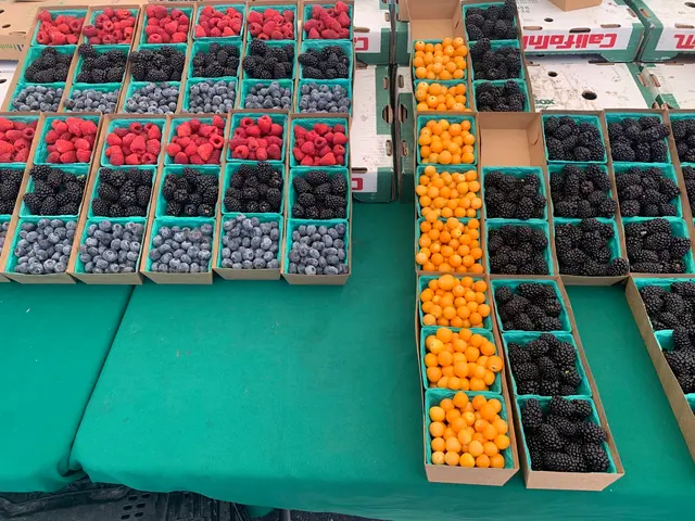 Mission Viejo Farmers Market — customer photo 5
