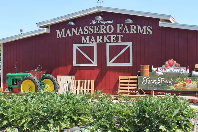 The Original Manassero Farms Market - Irvine — photo from the business 11