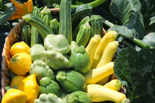 The Original Manassero Farms Market - Irvine — photo from the business 5