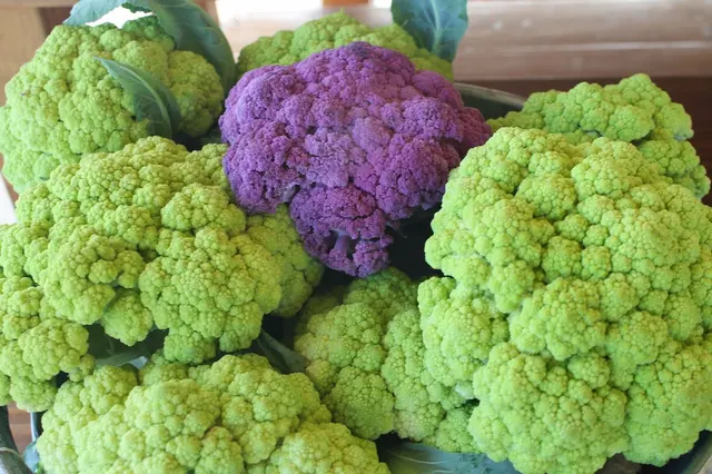 The Original Manassero Farms Market - Irvine — photo from the business 4