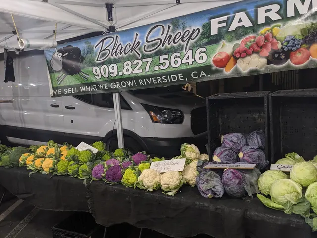 Ladera Ranch Farmers Market — customer photo 11