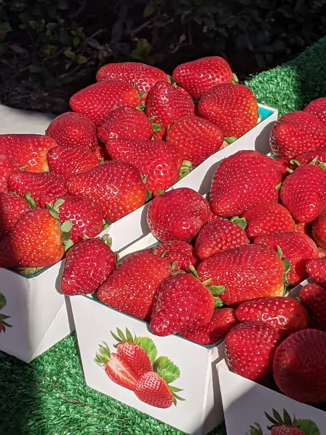Ladera Ranch Farmers Market — customer photo 6