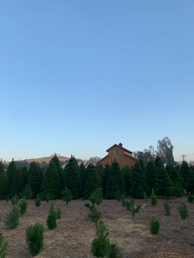 Farmakis Farms — customer photo 6