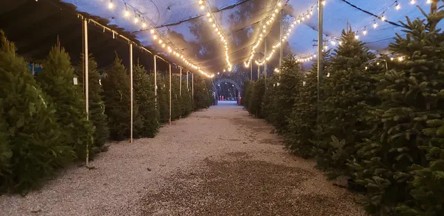 Farmakis Farms — photo from the business 8