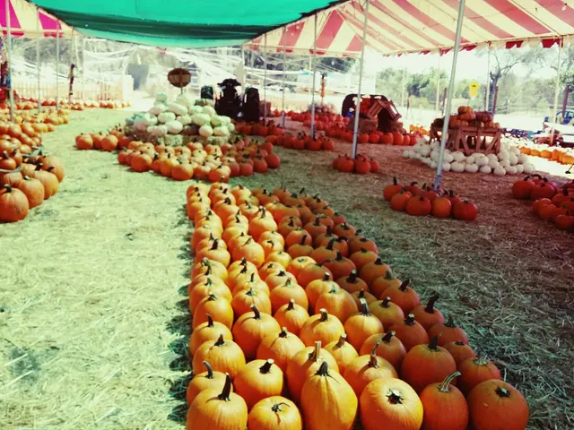 Farmakis Farms — customer photo 5