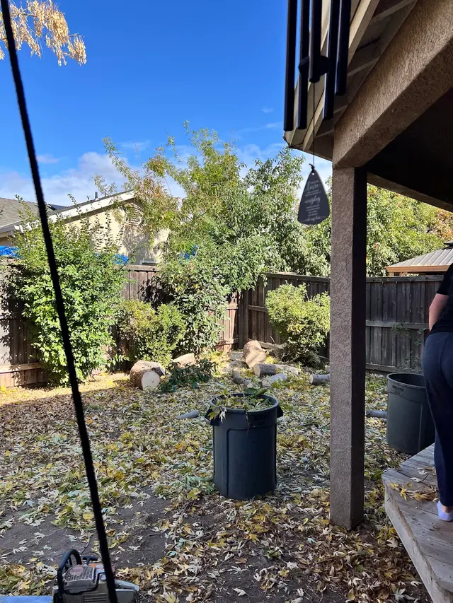 Erick's Tree Service — customer photo 10