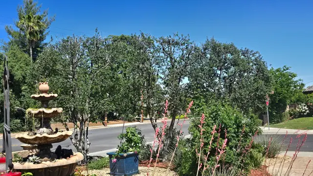 Erick's Tree Service — customer photo 1