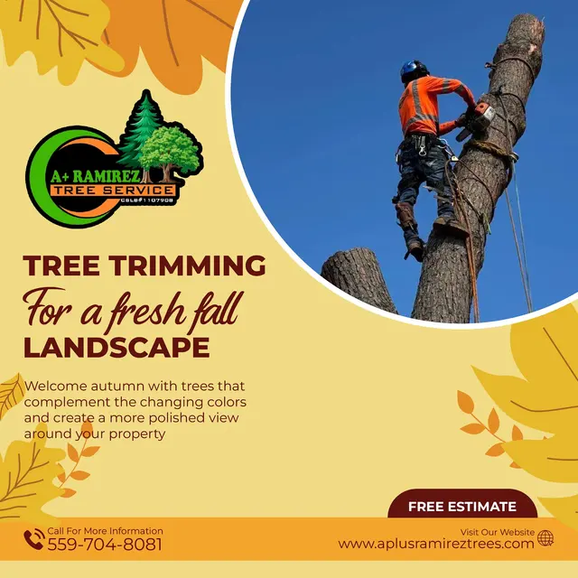 A Plus Ramirez Tree Service — photo from the business 5