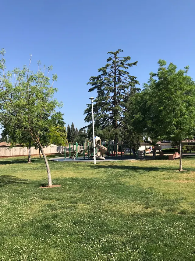 Maldonado Brothers Tree Service — photo from the business 11