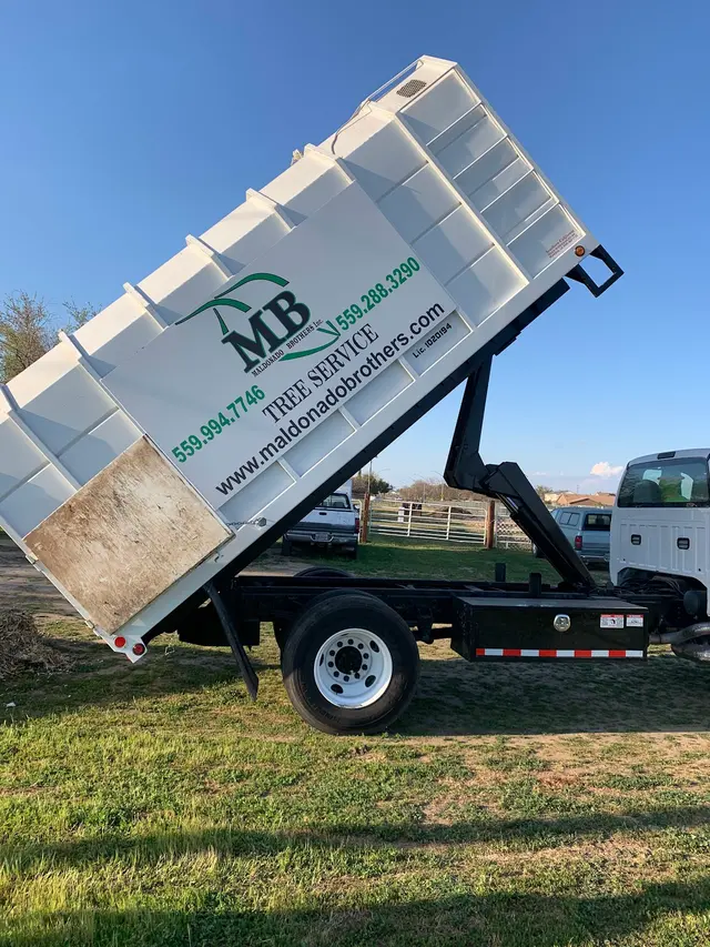Maldonado Brothers Tree Service — photo from the business 8