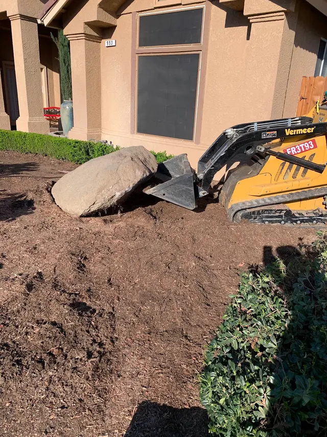 Maldonado Brothers Tree Service — photo from the business 5