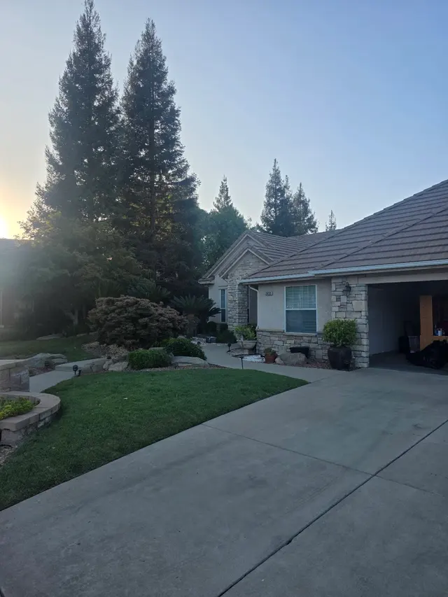 Customer photo of work by Cordova's Tree Service, from Carlton Shirkey's review