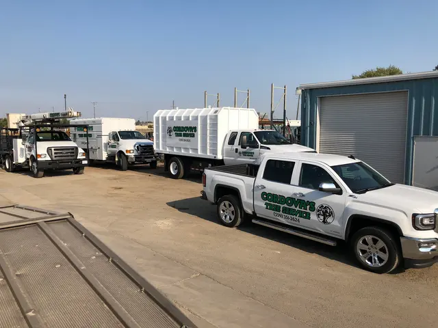 Cordova's Tree Service — photo from the business 2