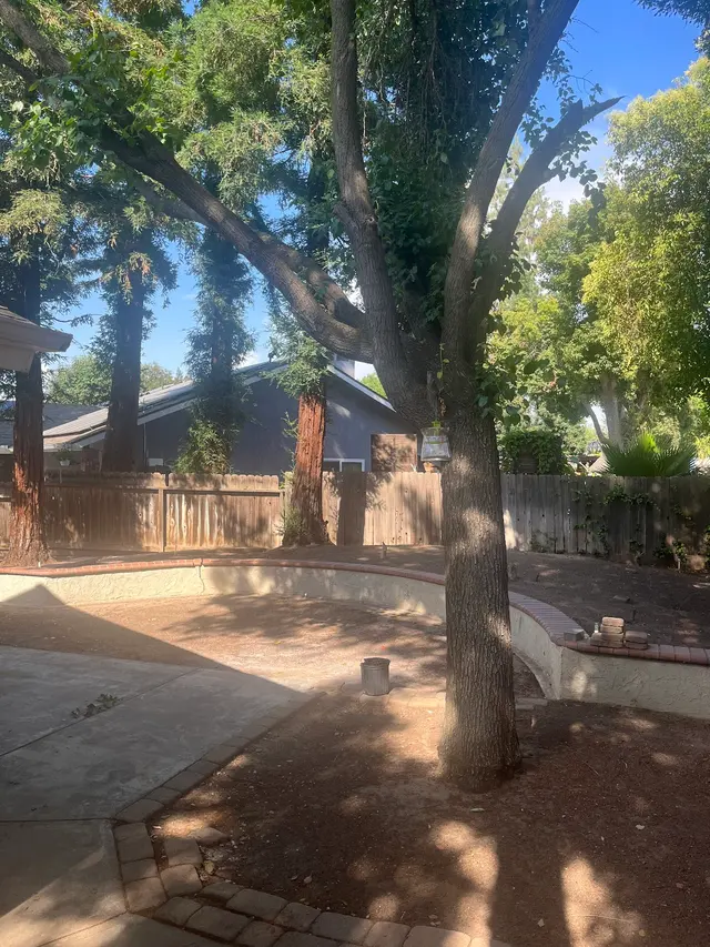 Cordova's Tree Service — customer photo 10