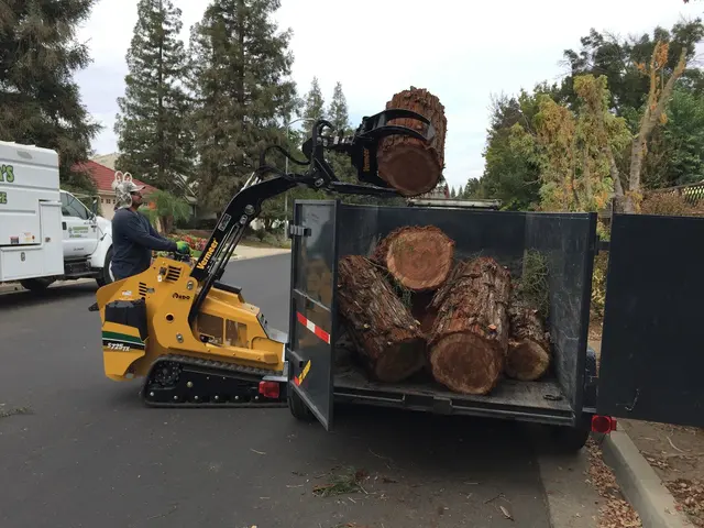 Cordova's Tree Service — photo from the business 9