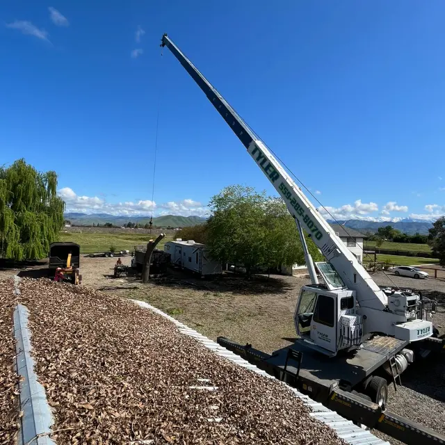Mendez Brothers Tree Service — photo from the business 8
