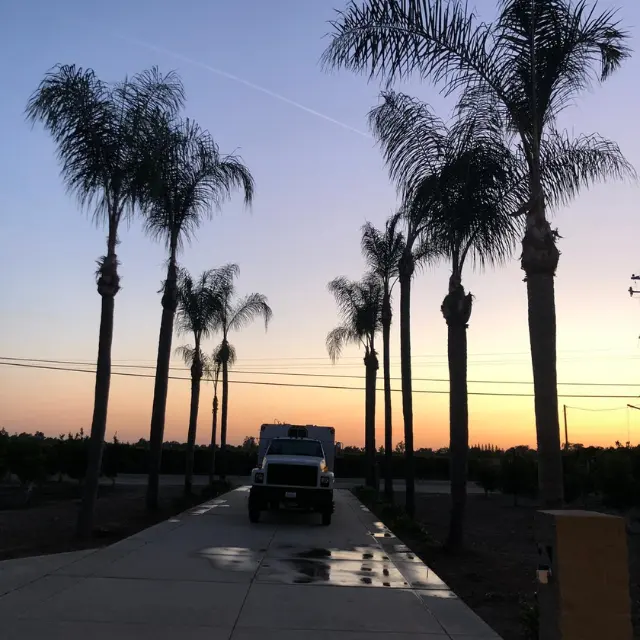 Mendez Brothers Tree Service — photo from the business 12
