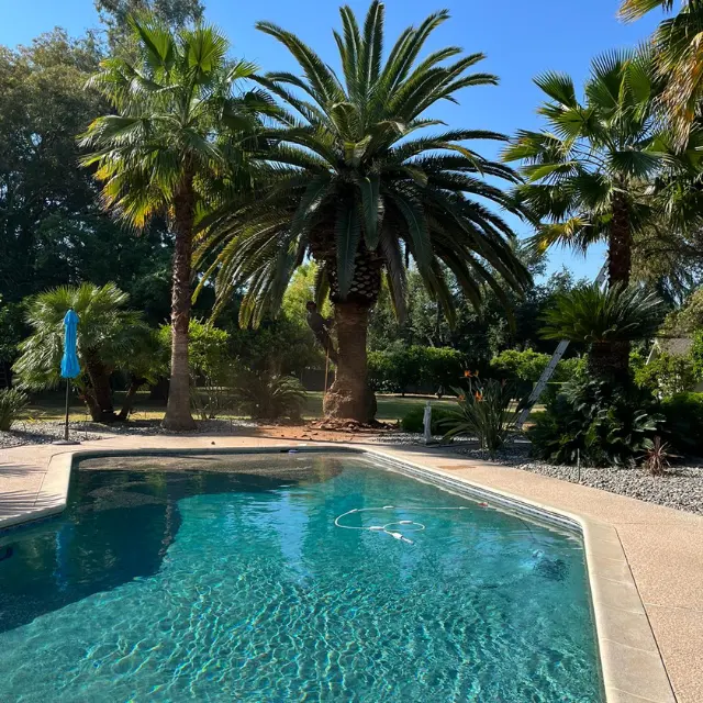 Mendez Brothers Tree Service — photo from the business 2