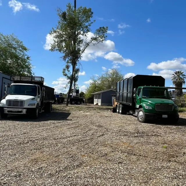 Mendez Brothers Tree Service — photo from the business 4