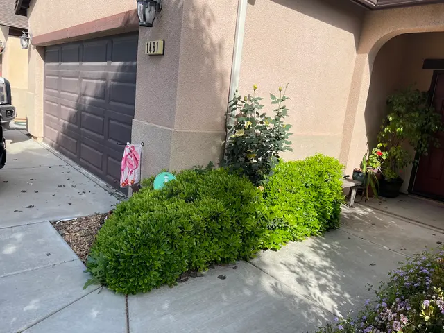 Trinity Tree Service — customer photo 6