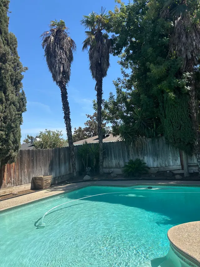 Trinity Tree Service — customer photo 8