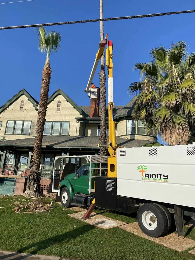 Trinity Tree Service — photo from the business 9