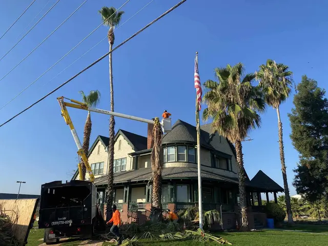 Trinity Tree Service — photo from the business 7