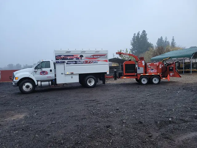 Cut Rite Tree Service Fresno — photo from the business 8