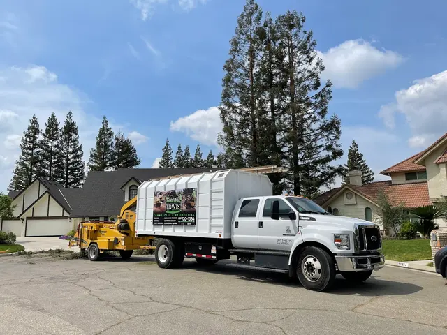 Travis Tree Service — photo from the business 2