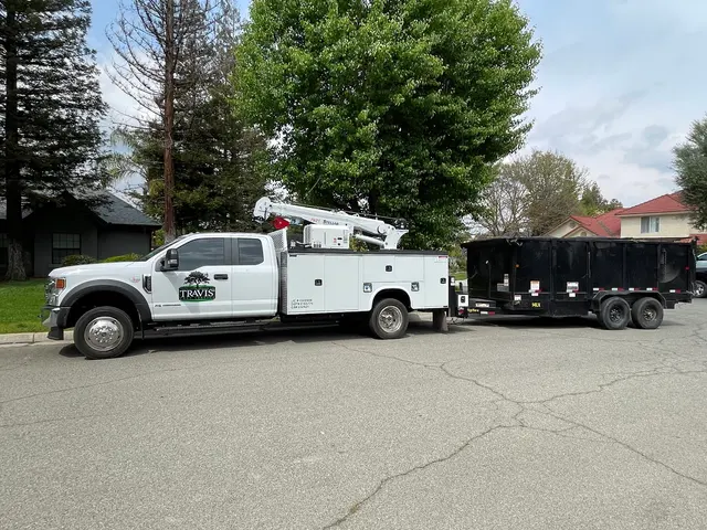 Travis Tree Service — photo from the business 3