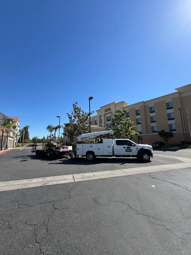 Travis Tree Service — photo from the business 12