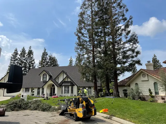 Travis Tree Service — photo from the business 4