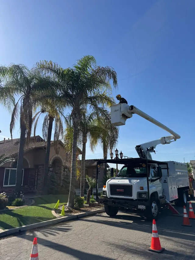 Forrest Wood Tree Service — photo from the business 11