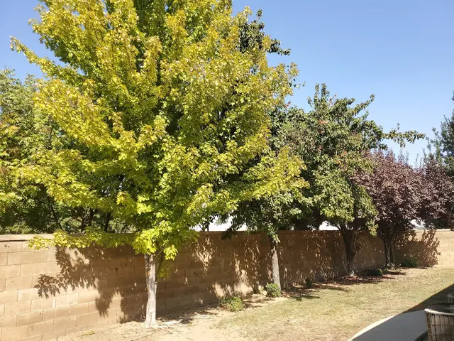 Kurt Eaton Tree Service — customer photo 8