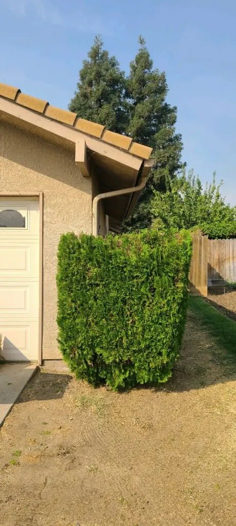 Kurt Eaton Tree Service — customer photo 6