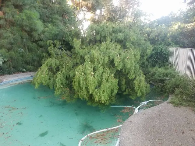 Kurt Eaton Tree Service — photo from the business 7