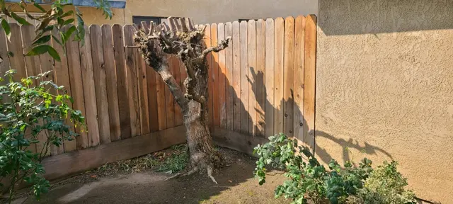Kurt Eaton Tree Service — customer photo 10
