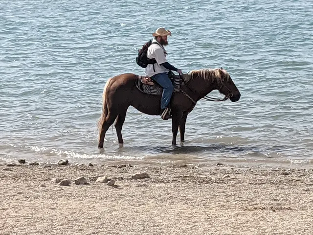 Texas Horse Adventures — photo from the business 3