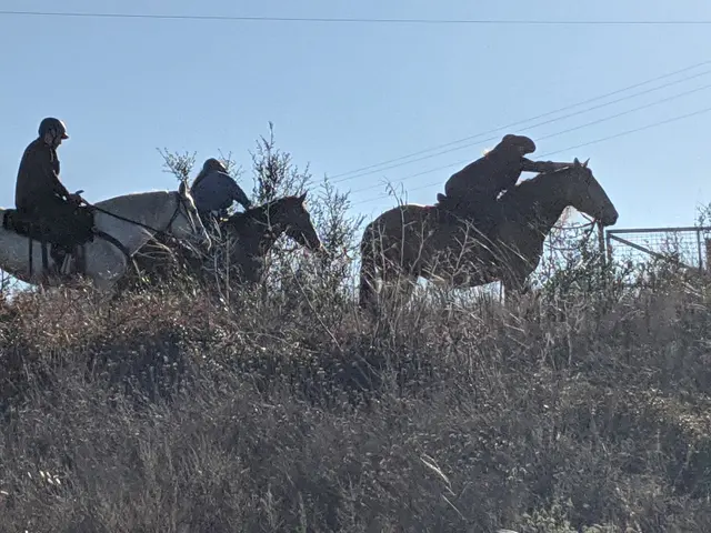 Texas Horse Adventures — photo from the business 2