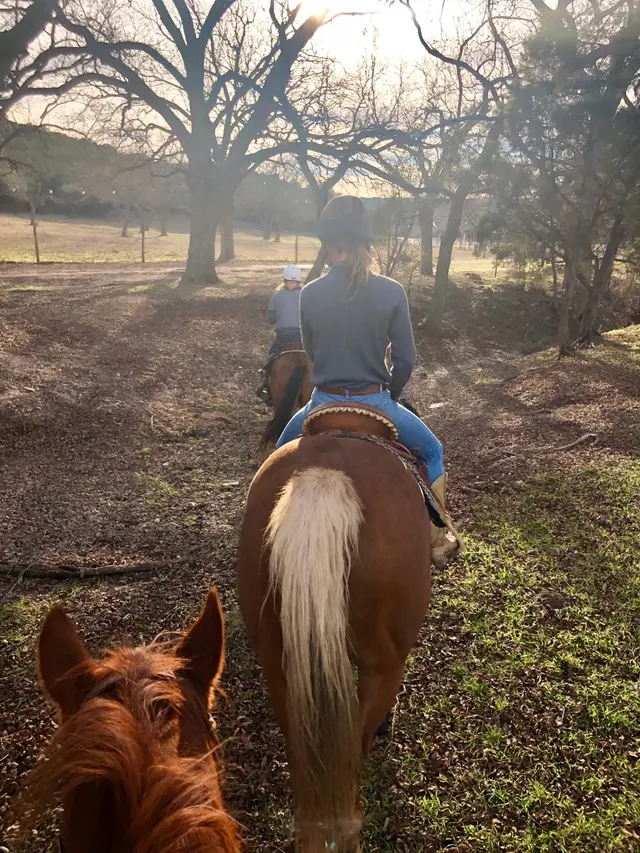 Texas Horse Adventures — photo from the business 4