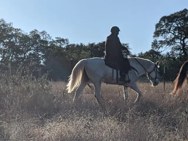 Texas Horse Adventures — photo from the business 9